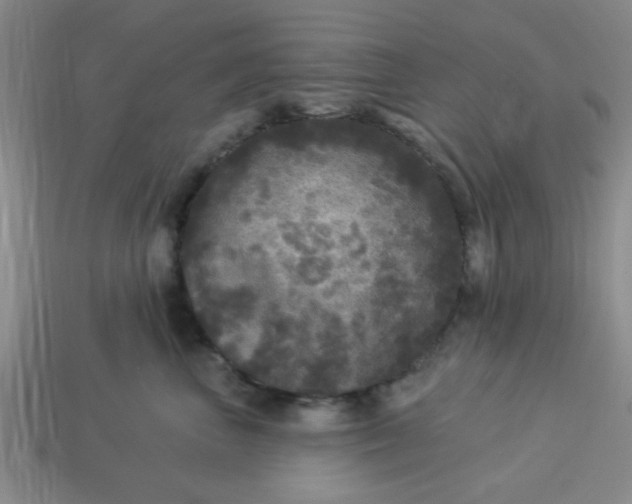 X0000114130667200910221505