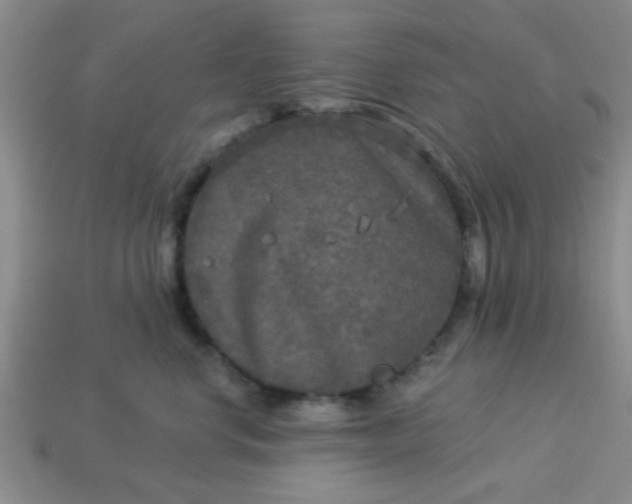 X0000114130668200910221505