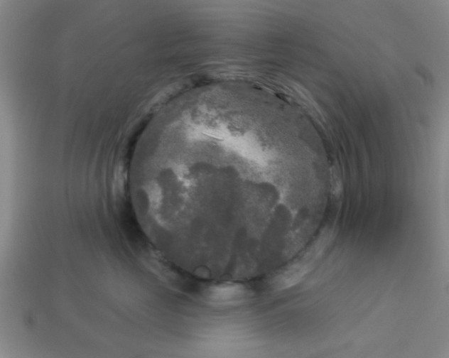 X0000114130669200910221505