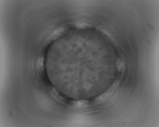 X0000114130670200910221505