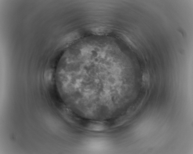 X0000114130671200910221505