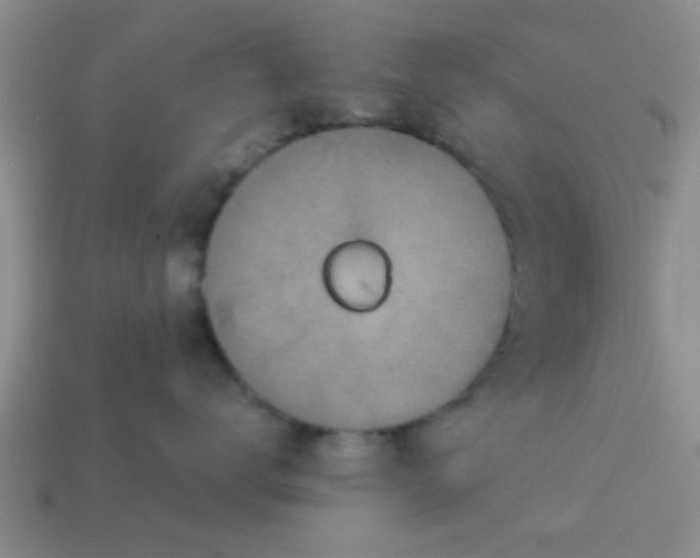 X0000114130672200910221505