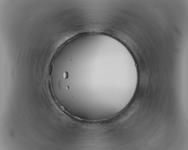 X0000114130673200910221505