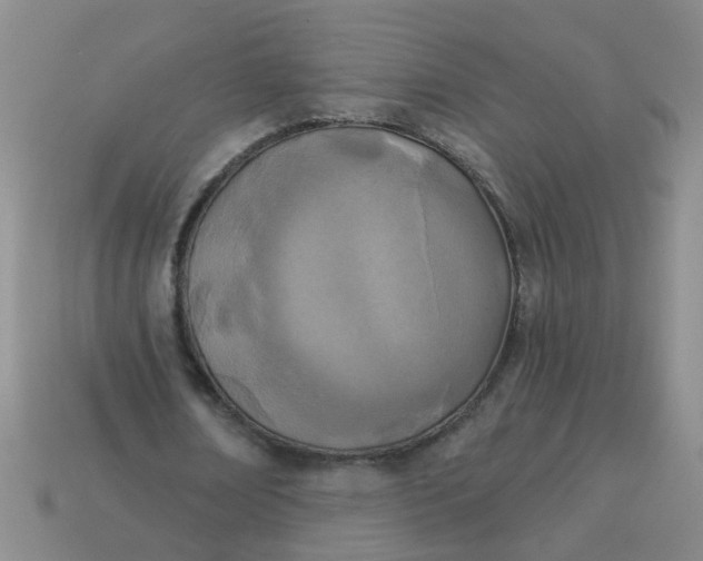 X0000114130674200910221505