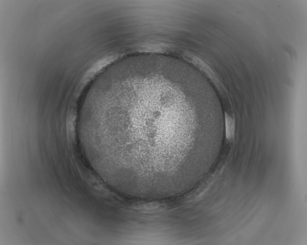 X0000114130675200910221505