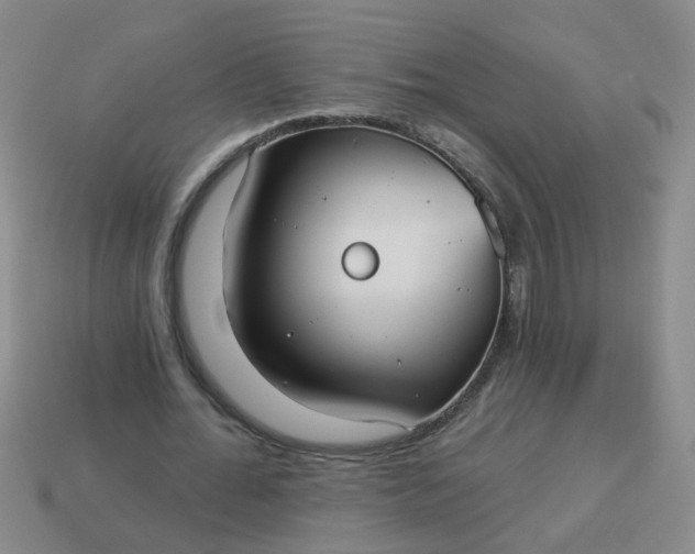 X0000114130676200910221505