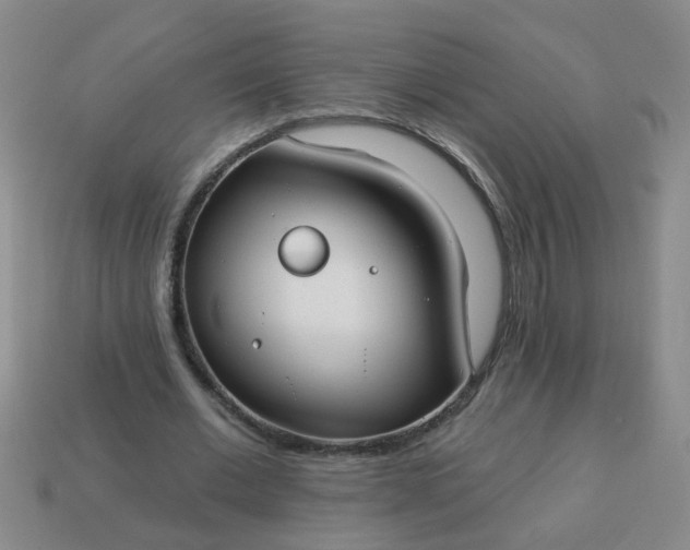 X0000114130677200910221505