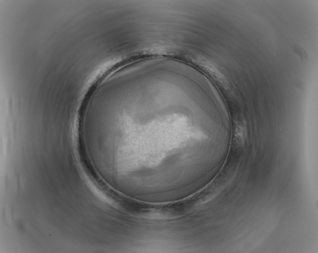 X0000114130678200910221505