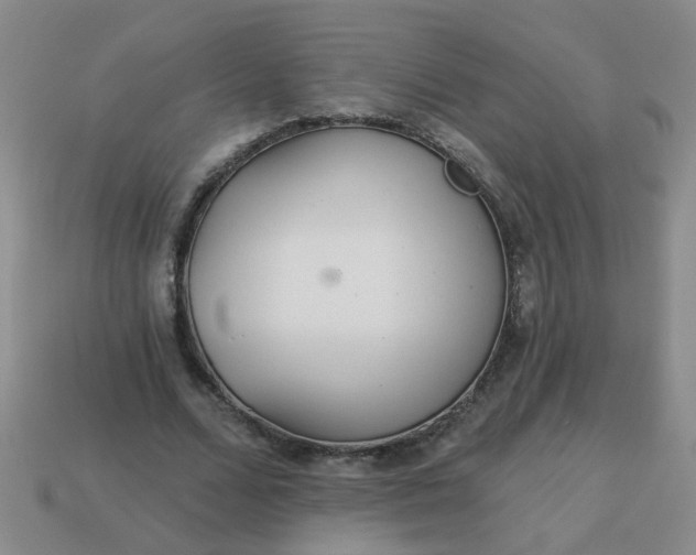 X0000114130680200910221505