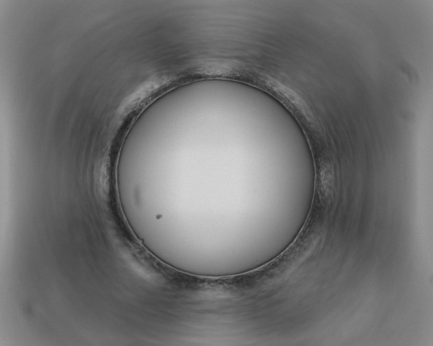 X0000114130682200910221505