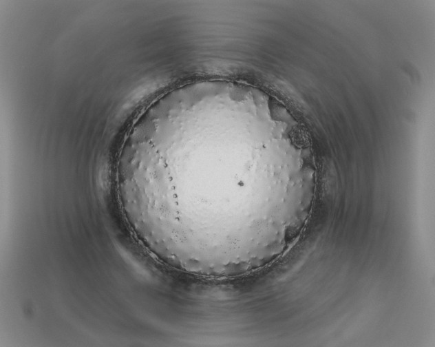 X0000114130683200910221505