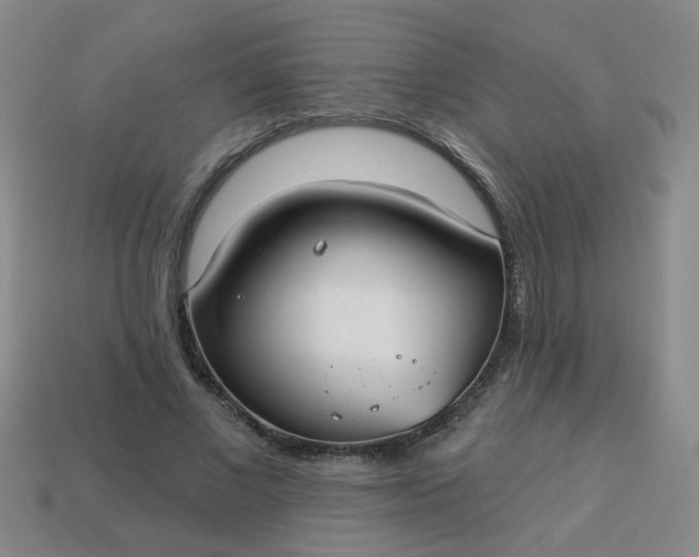 X0000114130685200910221505