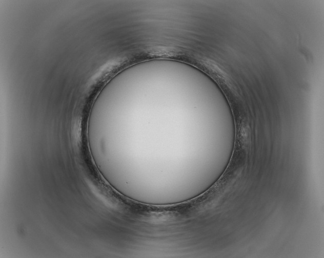 X0000114130686200910221505