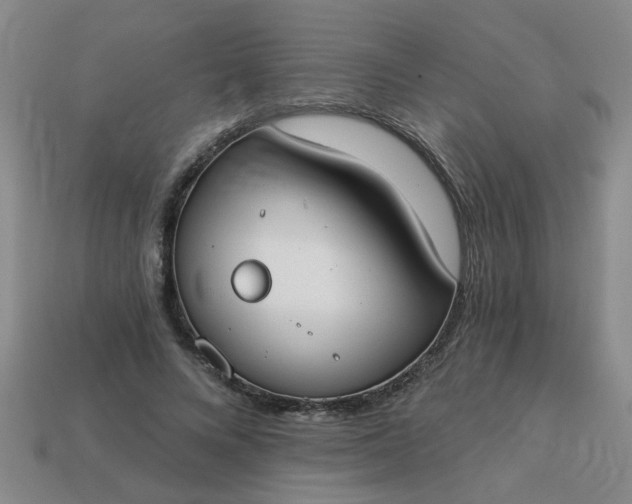 X0000114130688200910221505