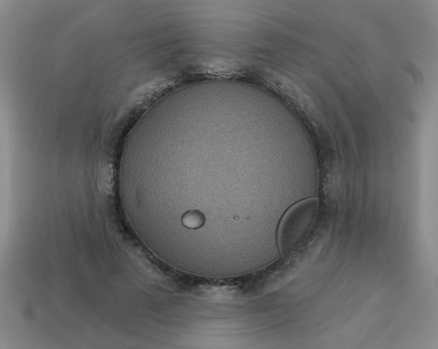 X0000114130689200910221505