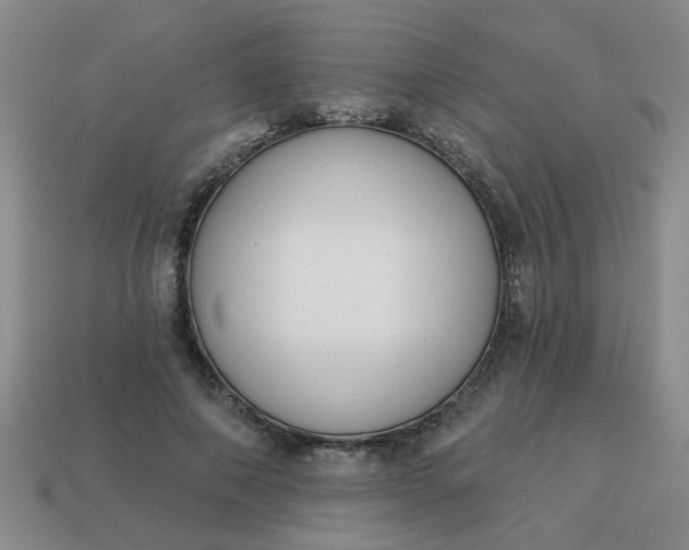 X0000114130690200910221505