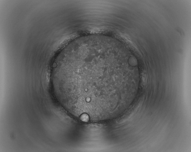 X0000114130691200910221505