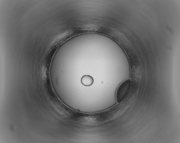 X0000114130692200910221505