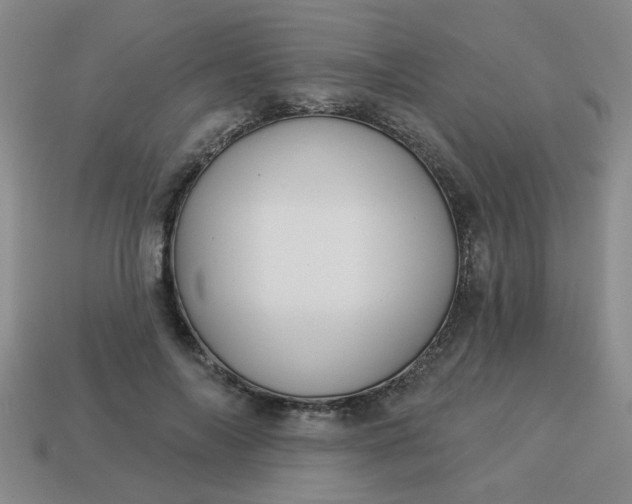 X0000114130694200910221505