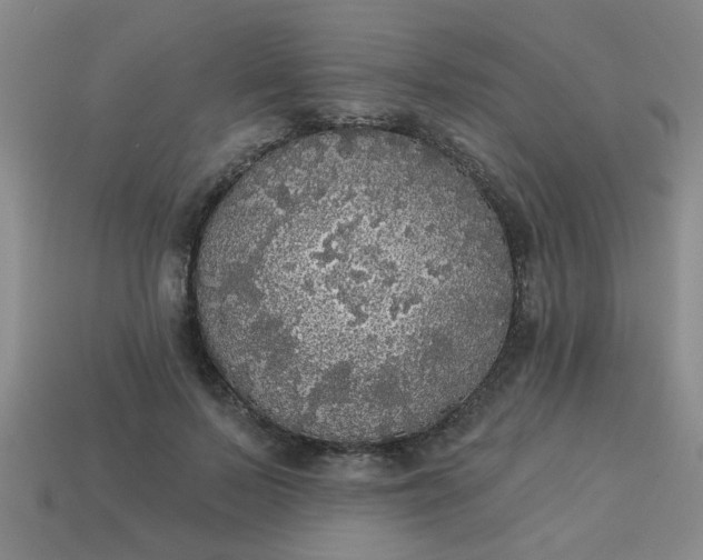 X0000114130695200910221505