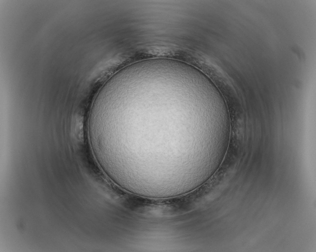 X0000114130696200910221505