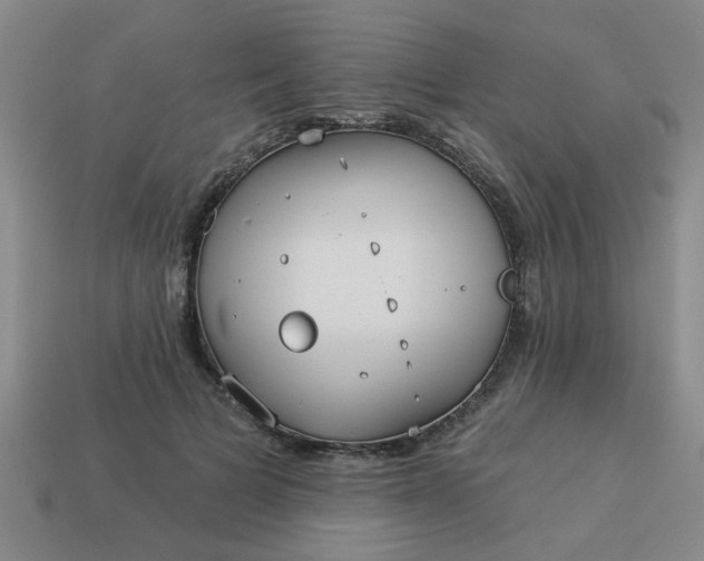 X0000114130697200910221505