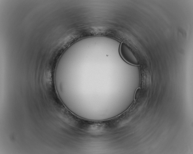 X0000114130700200910221505