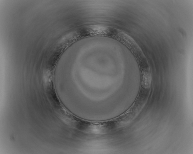 X0000114130701200910221505