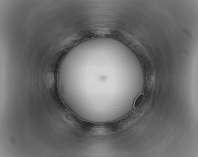 X0000114130704200910221504