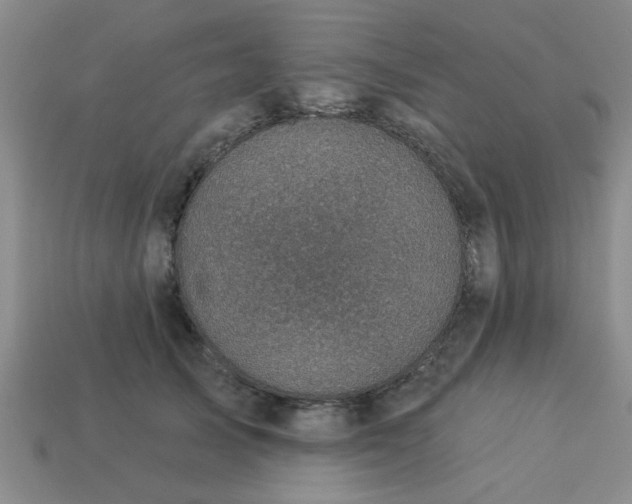 X0000114130705200910221504