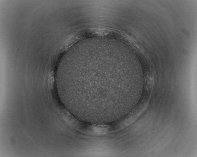 X0000114130707200910221504