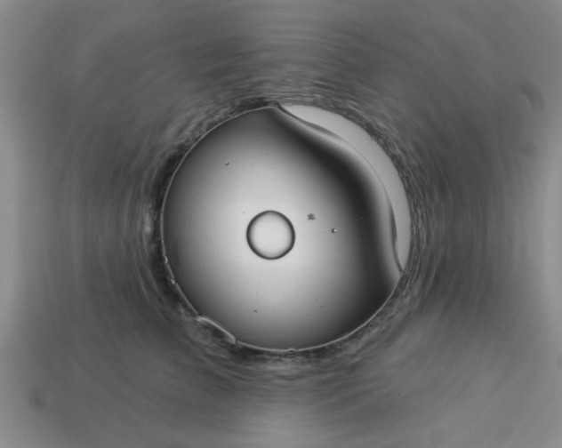 X0000114130709200910221504