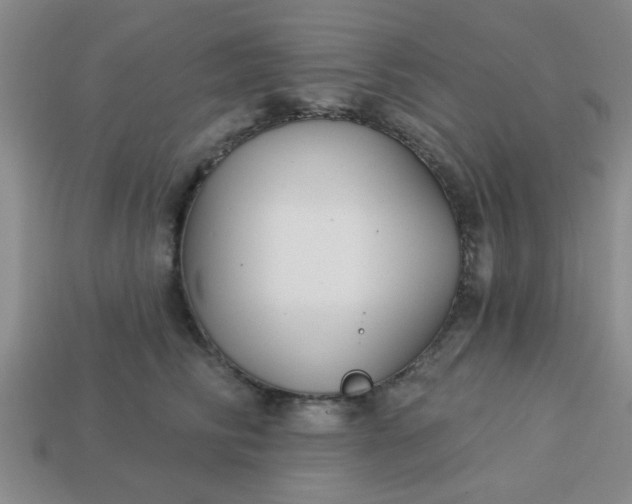 X0000114130710200910221504