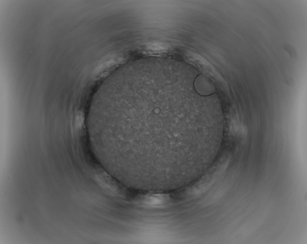 X0000114130711200910221504