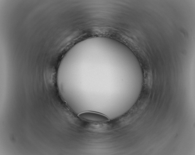 X0000114130712200910221504