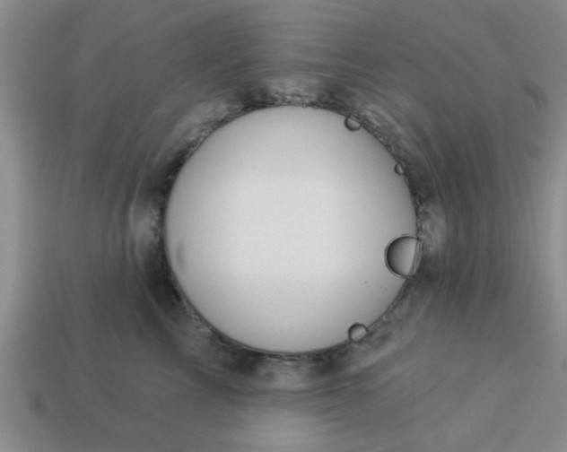 X0000114130713200910221504