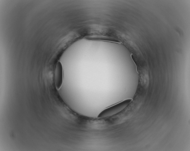 X0000114130716200910221504