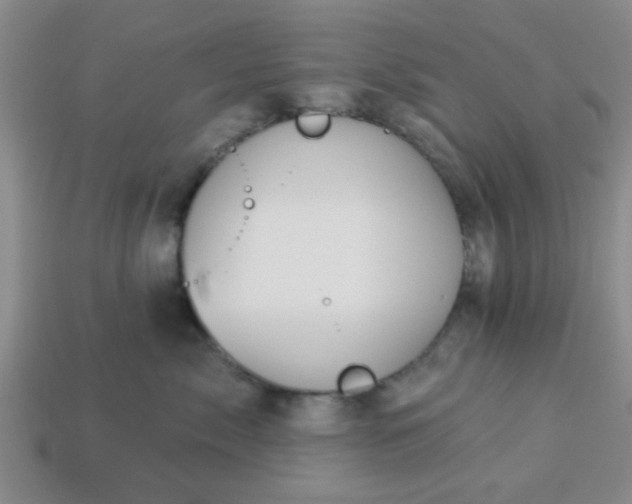 X0000114130717200910221504