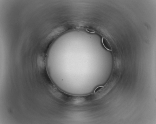 X0000114130719200910221504