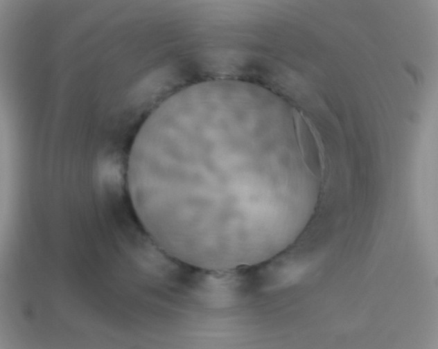 X0000114130720200910221504