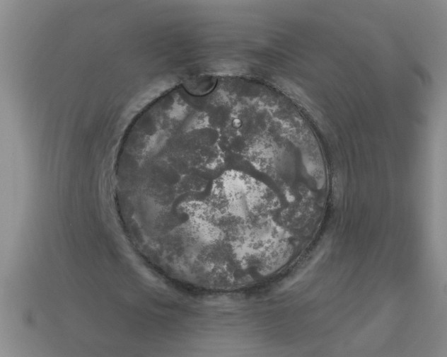 X0000114130721200910221503