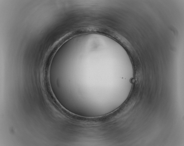 X0000114130722200910221503