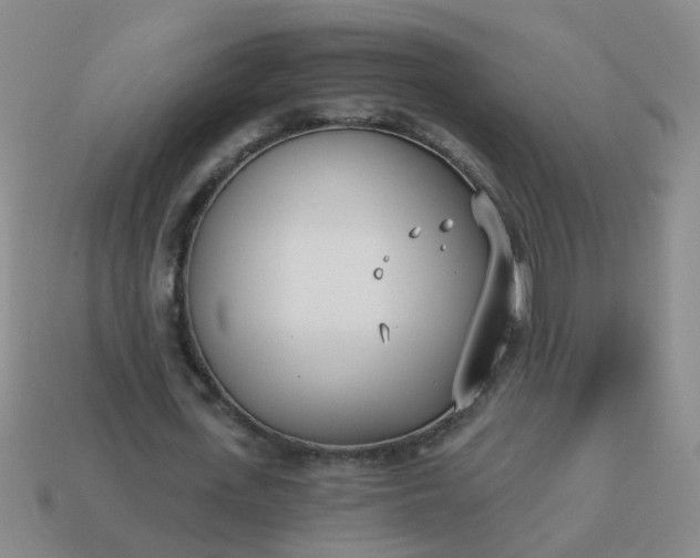 X0000114130723200910221504