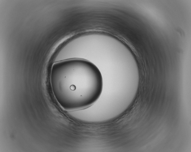 X0000114130724200910221504