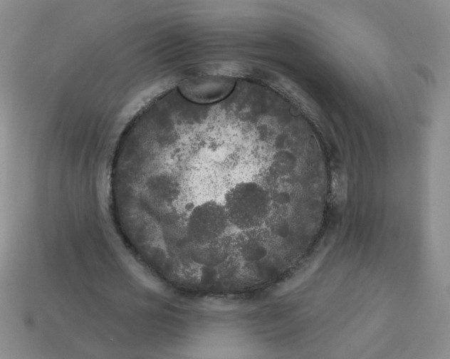 X0000114130725200910221504