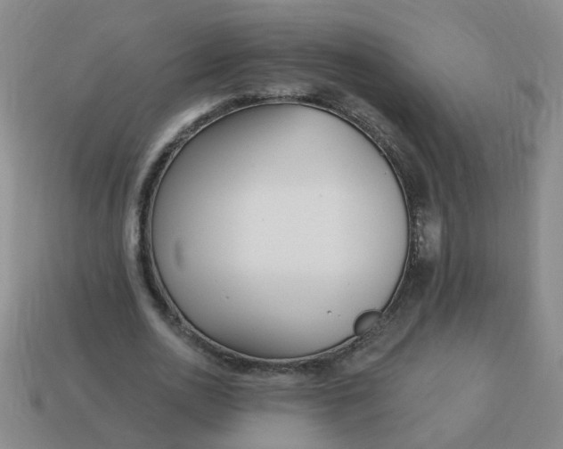 X0000114130726200910221504