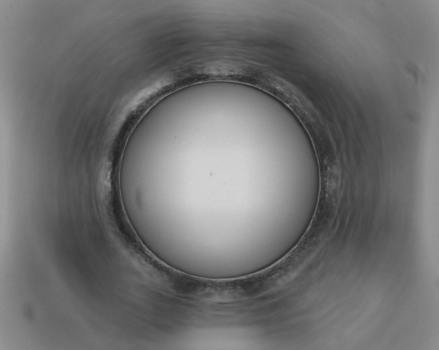 X0000114130727200910221504