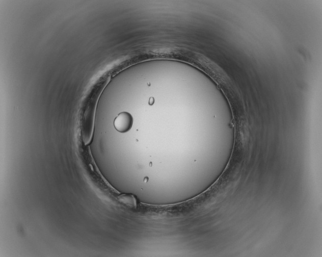 X0000114130728200910221504