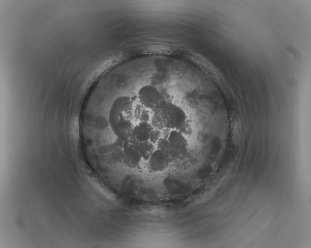 X0000114130729200910221504