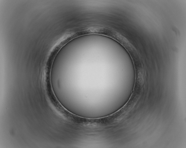 X0000114130730200910221504